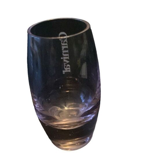 Pre Owned Carnival Cruise Lines Pink Shot Glass Etched Logo Shotglass HTF - Picture 3 of 10